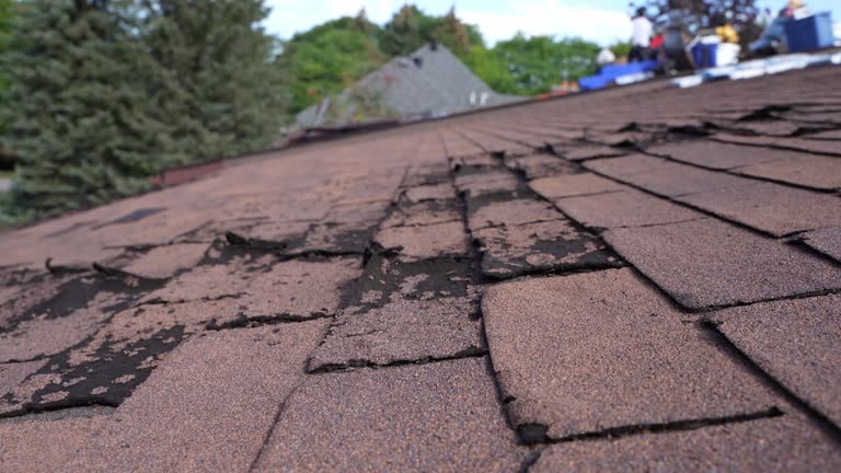 Trusted Casey, IL Roofing Service Experts